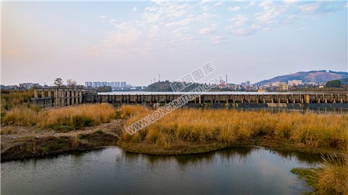 元木山电站下的芦苇荡