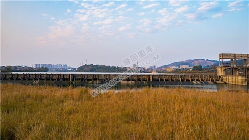 黄花洲芦苇荡看元木山电站