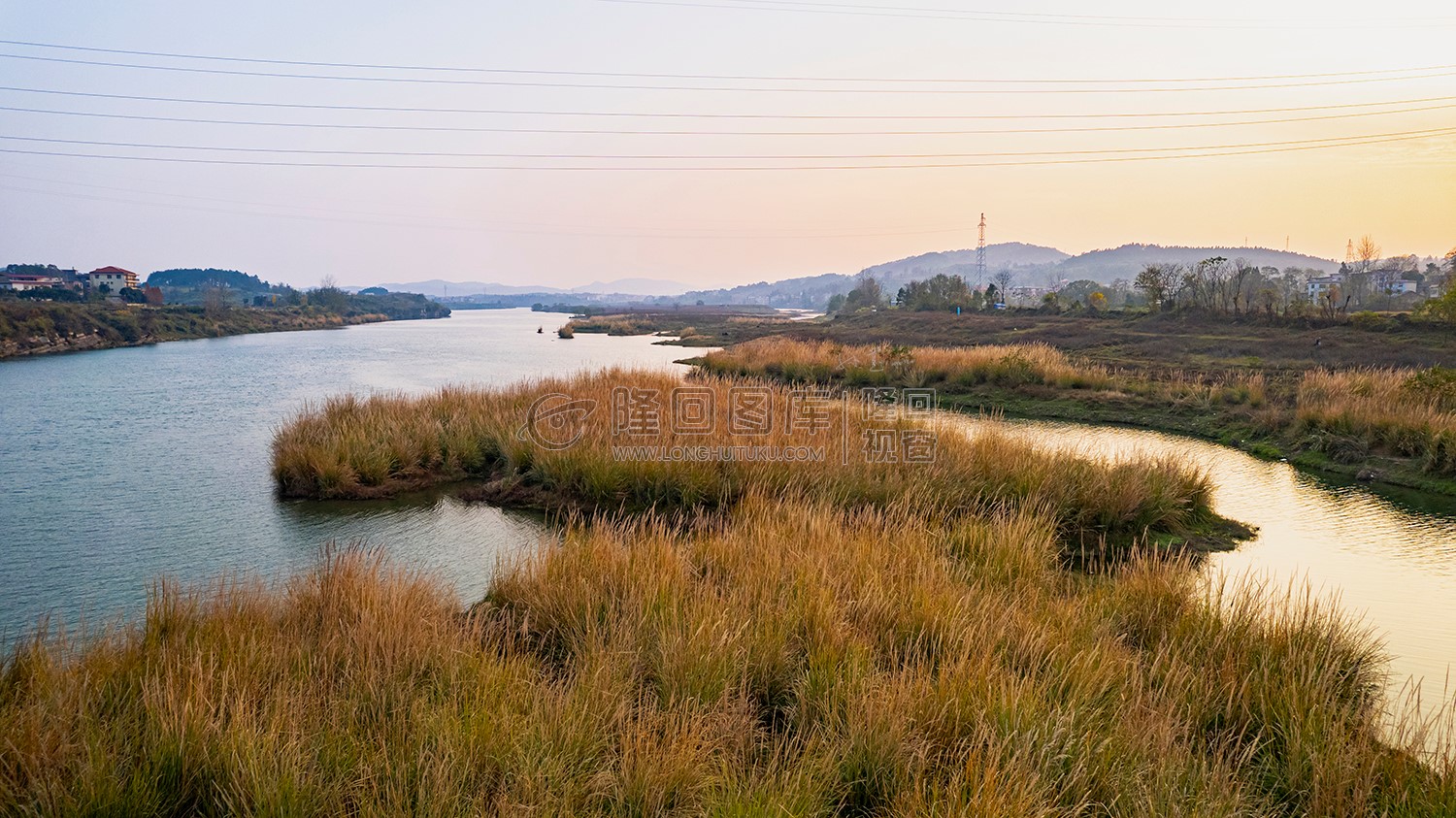 元木山电站下游黄花洲的芦苇荡