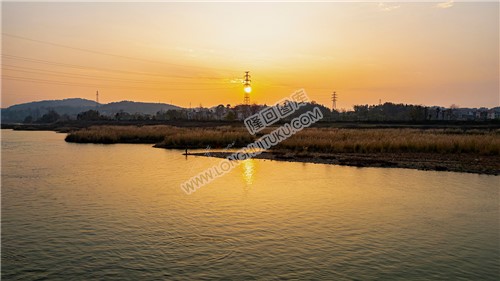 元木山电站下游芦苇荡