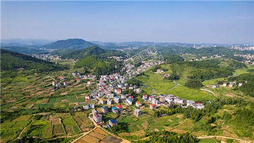 天子山脚下元冲村