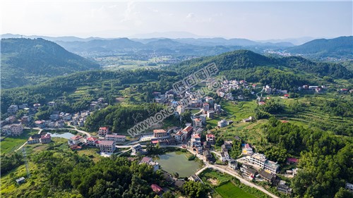 青源村部前面的池塘