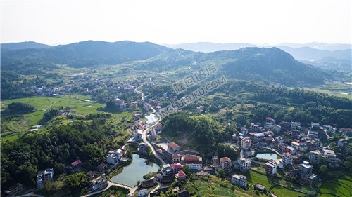 青源村村部区域