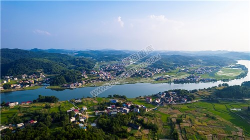 河对面的龙洲村