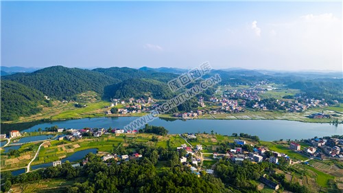 河对面的龙洲村