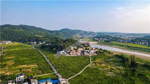 赧水河畔的中洲村