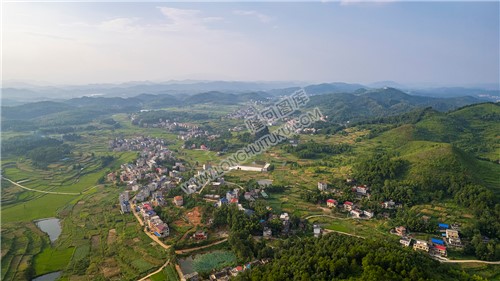 龙庄村