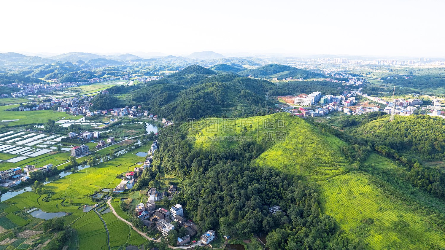 龙河村乐居田对面