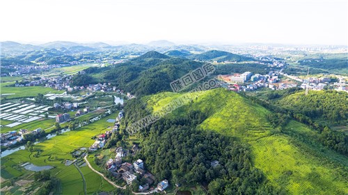 龙河村乐居田对面