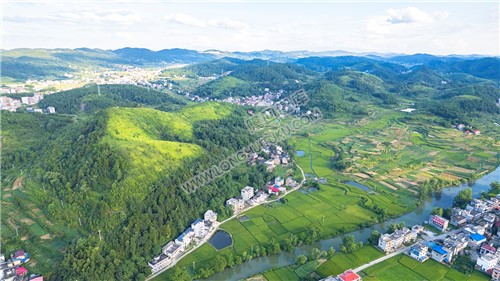 龙河村乐居田对面