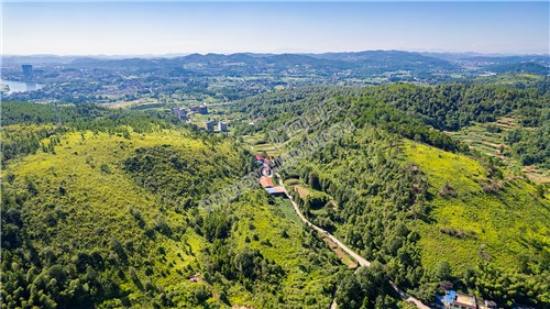 五里牌往G320国道西环路