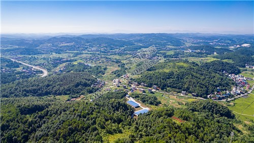 五里村往G320国道西环路