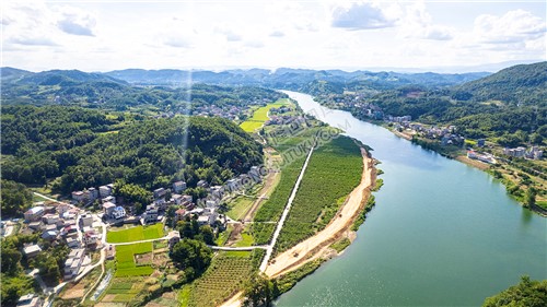 沙坪村桃花基地