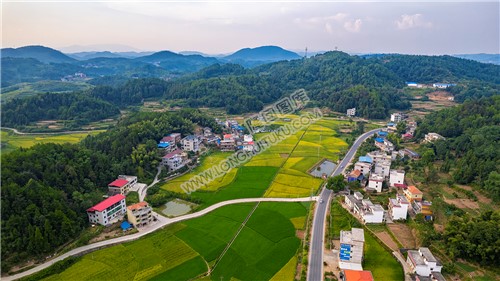 谢家楠树坪葫芦冲入口