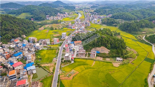 沉沙湾优先村委