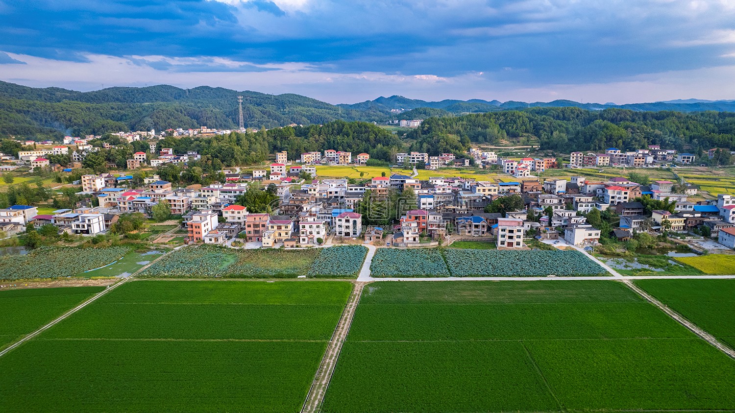 大磨洲乡村田园风光
