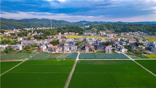 大磨洲乡村田园风光