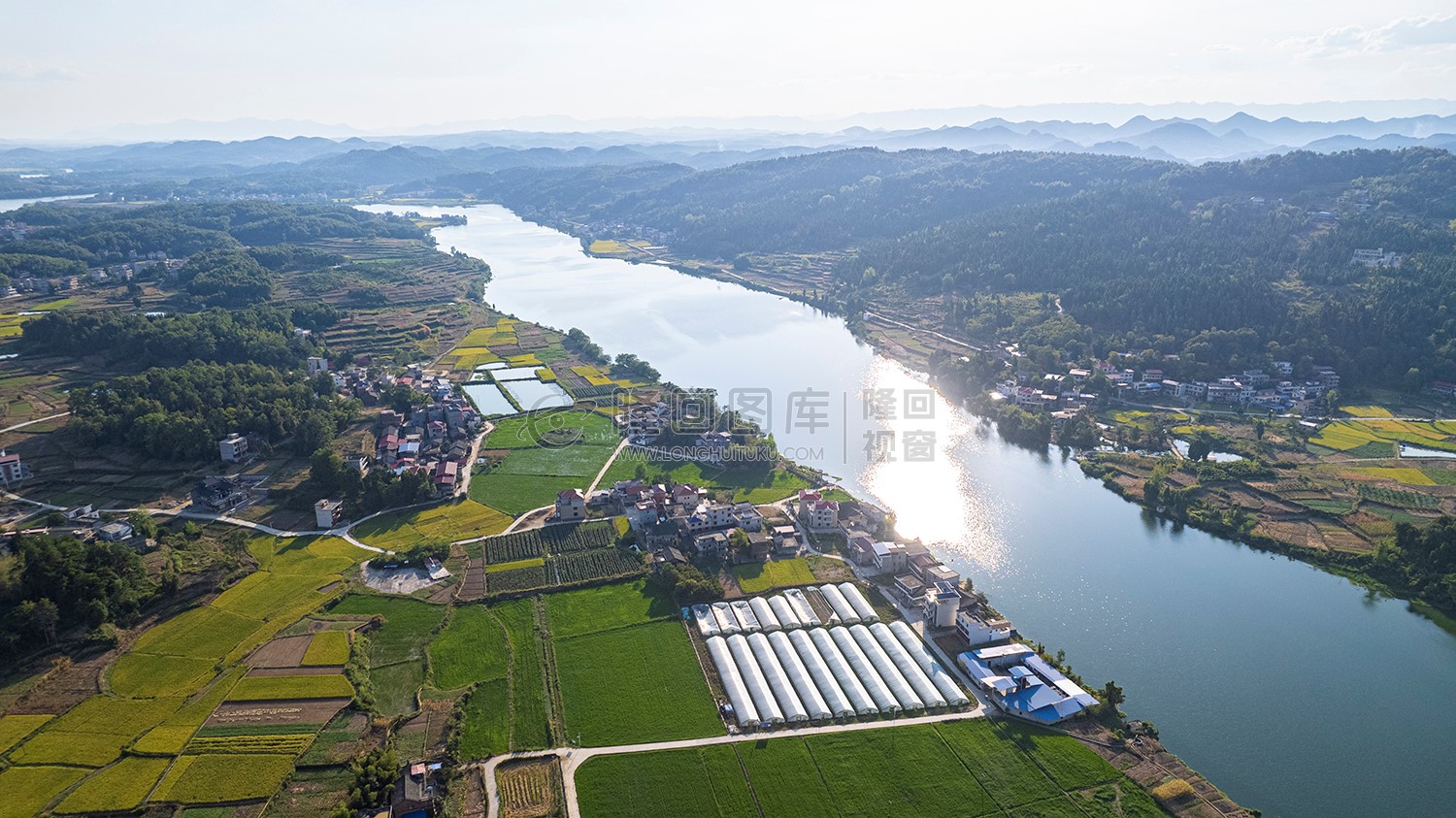 赧水河畔的水稻基地