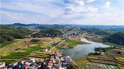 桥庄村田园风光