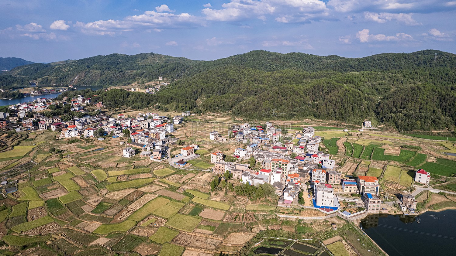 桥庄村乡村风光