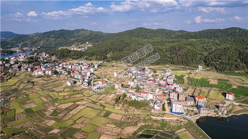 桥庄村乡村风光