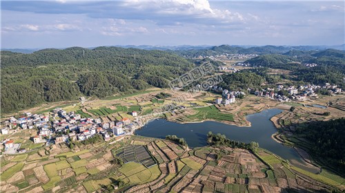 桥庄村水库周边风光