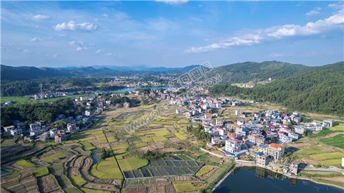 桥庄村农村风光