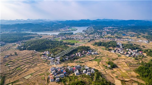 袁家陈家塘方向看香花渡村
