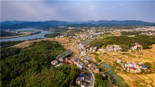 红星村与洞口石湾村交界处