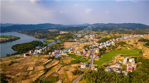 杨溪村
