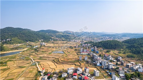 石岭村往西坪村方向