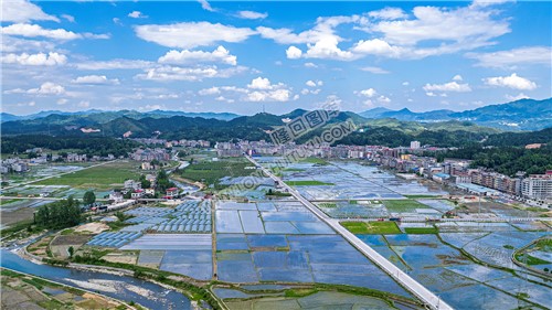 金石桥镇周边农田