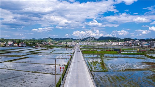 金石大道周边农田