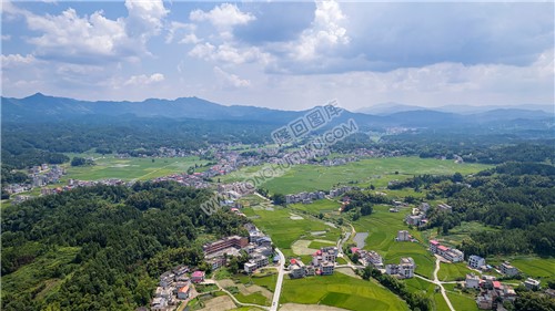 黄家村顺丰莲花小学周边