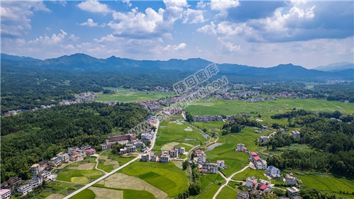黄家村顺丰莲花小学周边