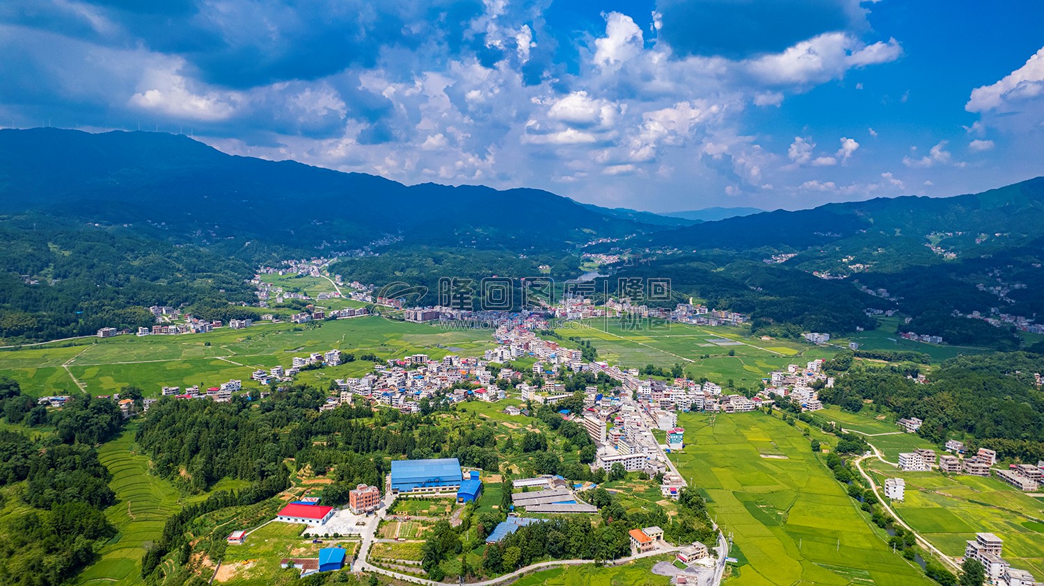 七江镇方向看鸟树下村