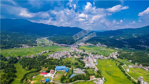 七江镇方向看鸟树下村