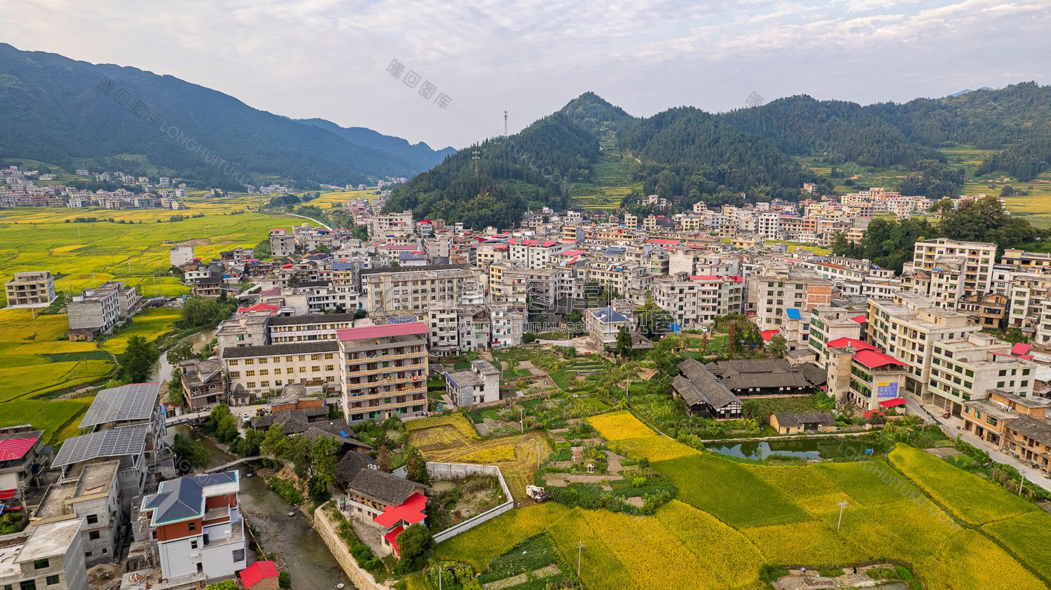 罗洪镇秋收风光