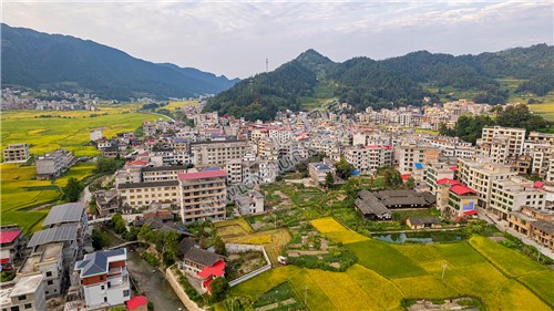 罗洪镇秋收风光