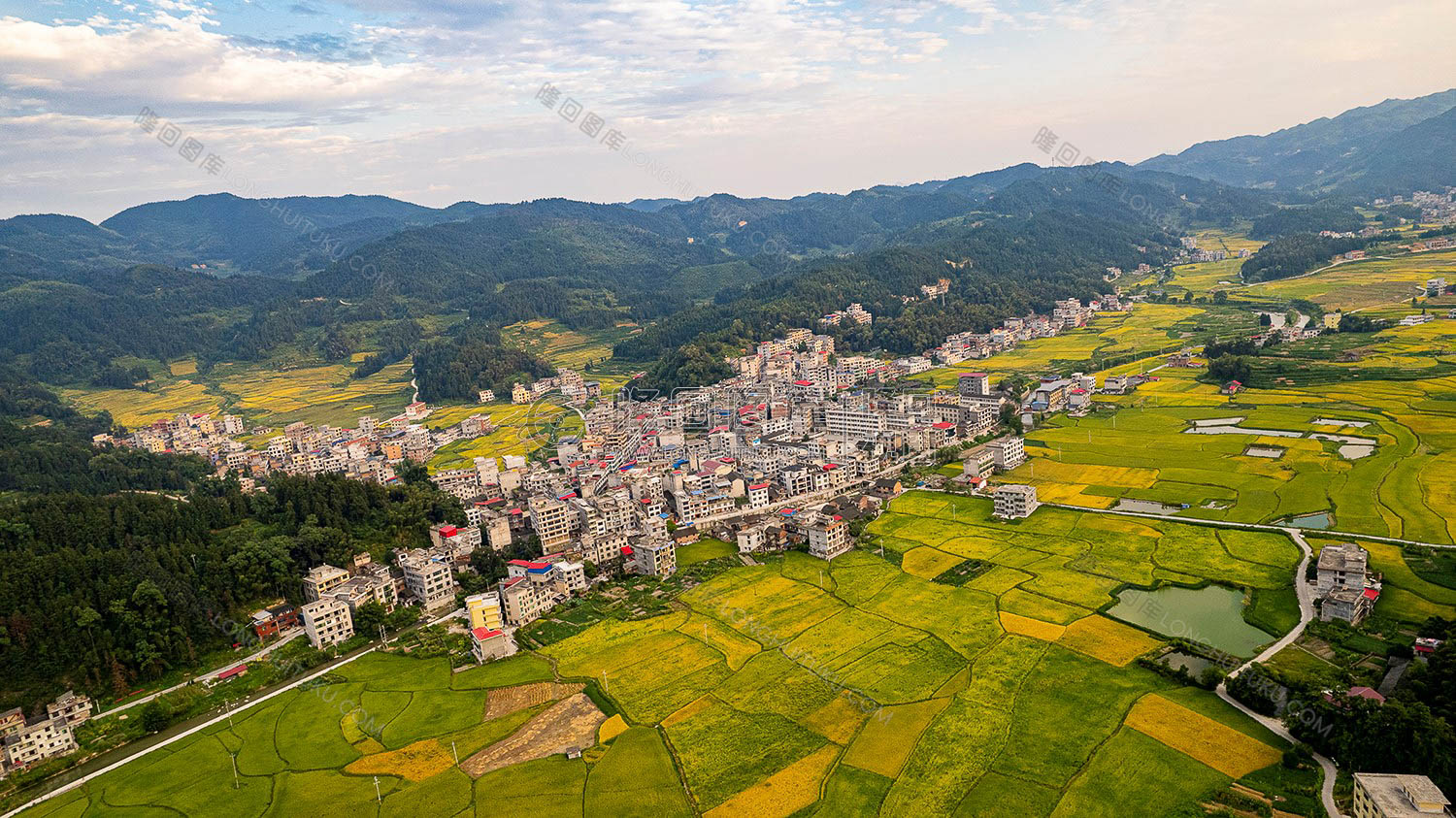 罗洪镇秋收风光