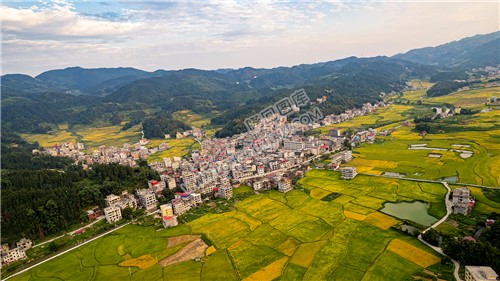 罗洪镇秋收风光