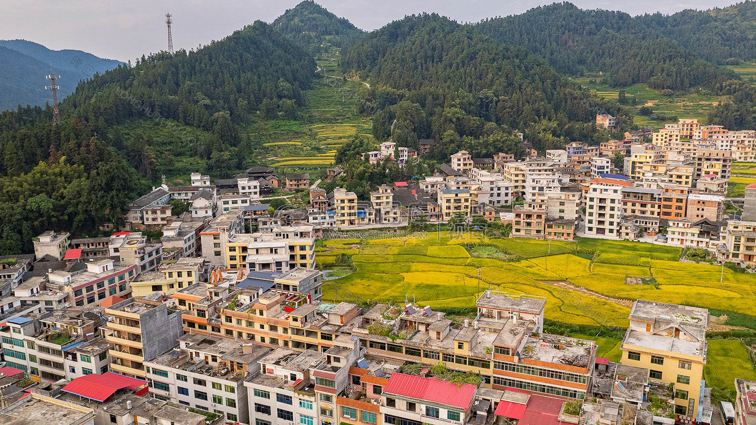 罗洪镇秋收风光