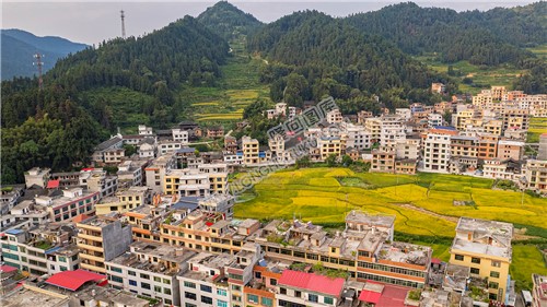 罗洪镇秋收风光