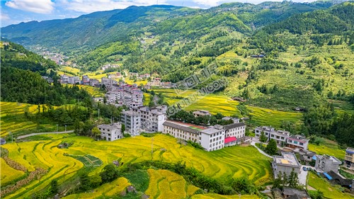青山村，梯田风光优美