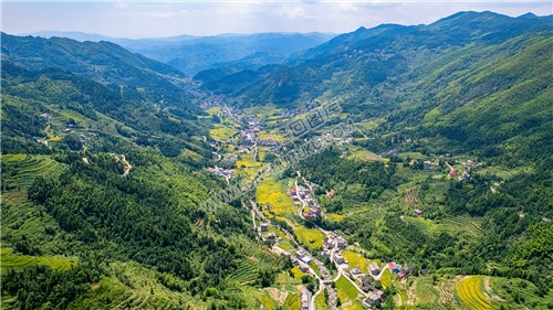 青山村全景