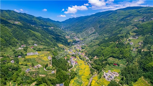 青山村全景