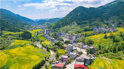 青山学校