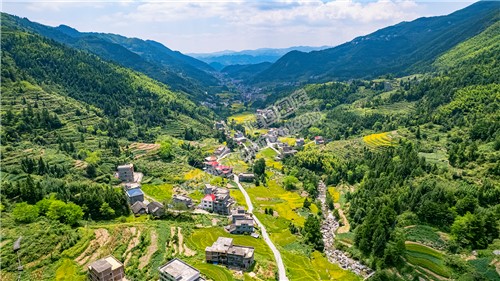 深山中的青山村