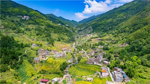 深山中的青山村