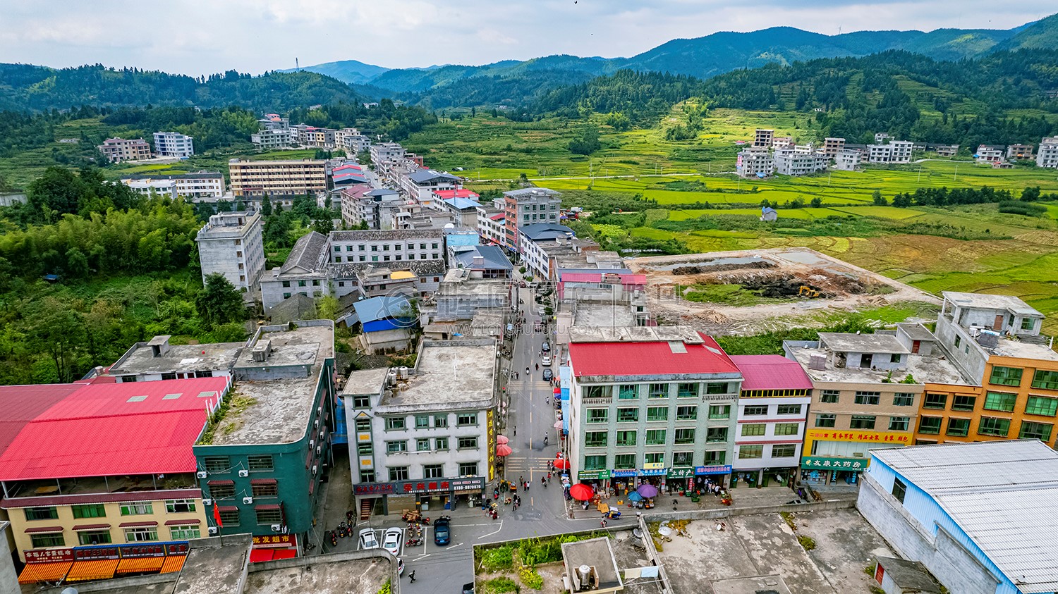 麻塘山乡的金色稻田风光
